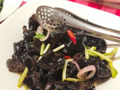 凉拌木耳-西贝莜面村(近铁城市广场店)