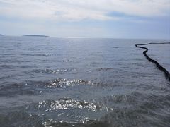 -苏州太湖国家湿地公园