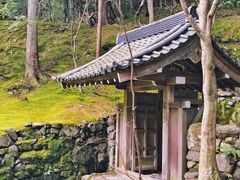 -西芳寺(苔寺)