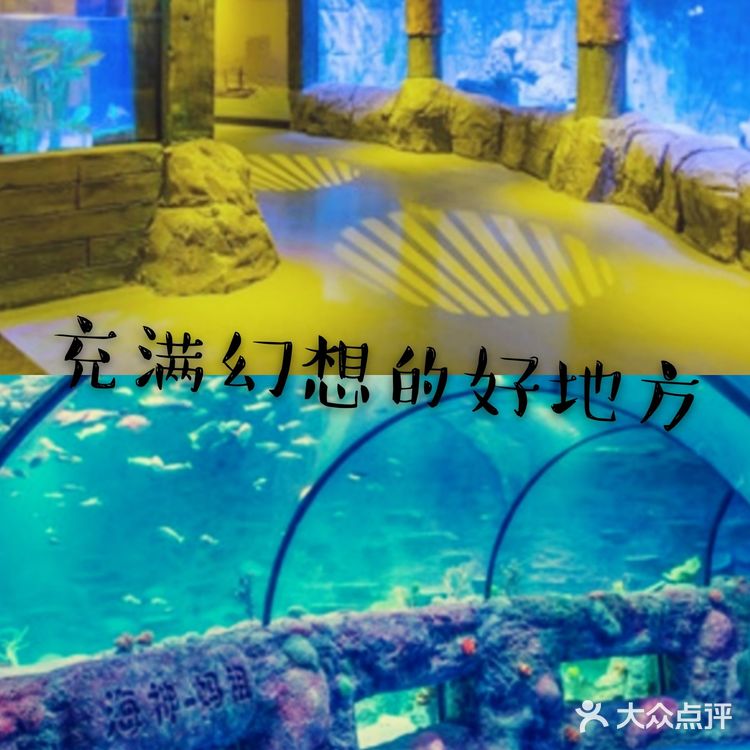 宝宝假期打卡充满幻想的乐园