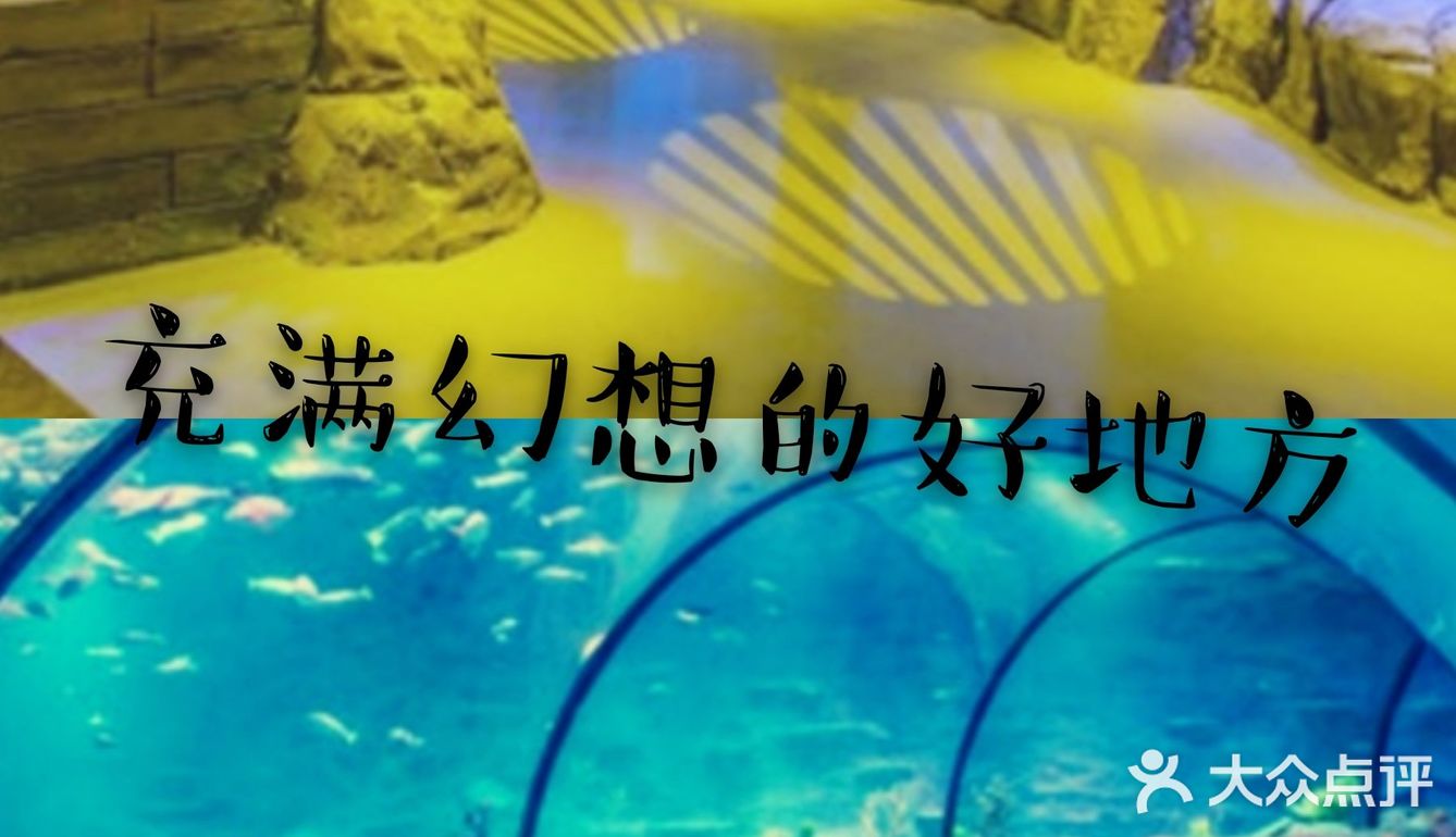 宝宝假期打卡充满幻想的乐园