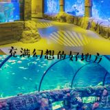 宝宝假期打卡充满幻想的乐园