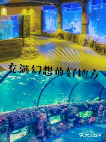 宝宝假期打卡充满幻想的乐园