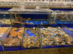 水产区-高佳庄·舟山海鲜(海景旗舰店)