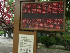 -唐城墙遗址公园