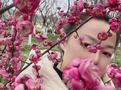 -秀丽东方