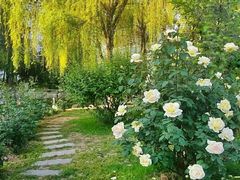 -曲江惠宾苑宾馆(大雁塔大唐不夜城店)