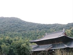 -兰亭风景区