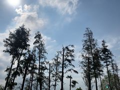 -漩门湾国家湿地公园