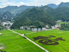 -万峰林风景区