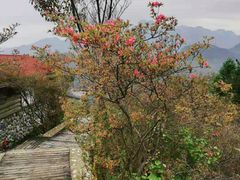 -岳西天峡风景区