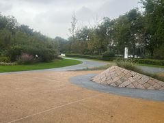 -昆山城市生态森林公园