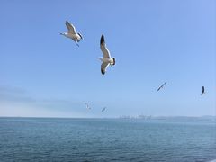 -悦海公园