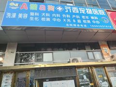 -A猫a狗全科·犬猫异宠·芥西宠物医院(南开总院)