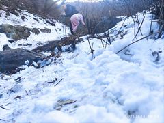 -阳台山自然风景区