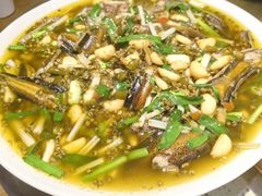 -桂花寨(北碚二店)