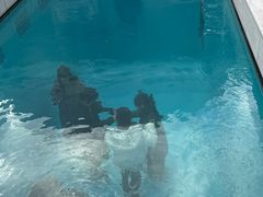 -金泽21世纪美术馆