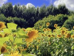 -长春公园(普阳街道)