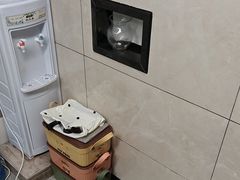 -半岛宠物医院24小时(白果林店)