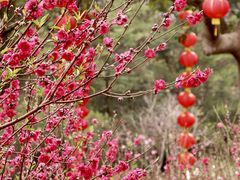 -桃花涧
