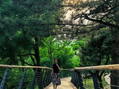 -白水寺森林公园
