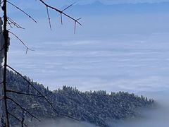 -瓦屋山景区