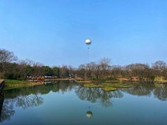 -西溪国家湿地公园