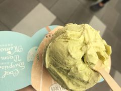-野人先生现做冰淇淋(西安赛格店)