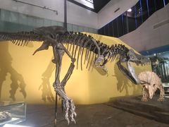 -湖南省地质博物馆