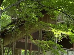 -三千院