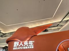 -野人先生现做冰淇淋(北京王府井东方新天地店)