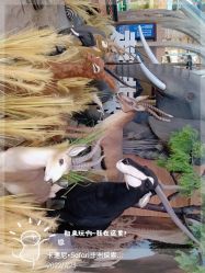 -卡通尼·Safari非洲探索乐园·生日会(金桥国际商业广场店)