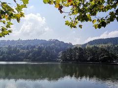 -庐山风景区花径公园