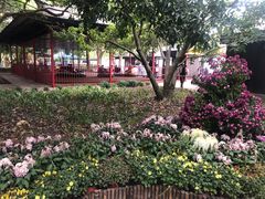 -汇龙潭