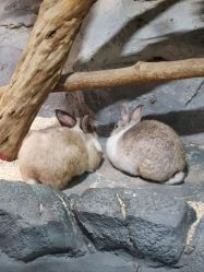 -Zoolung Zoolung动物主题公园(海信广场店)