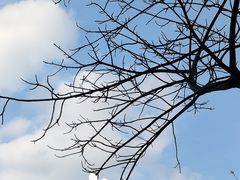 -神光山国家森林公园