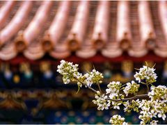 -故宫博物院(故宫)