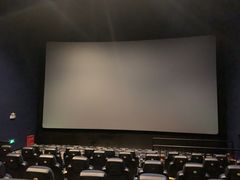 -SFC上影影城(北京大兴龙湖天街IMAX店)