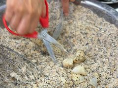 -老胡甜汤(龙眼店)