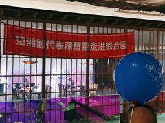 -望湘园·洞庭渔宴(浦江欢乐颂店)