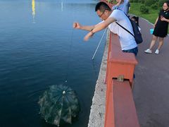 -丁香湖公园