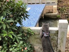 -合肥滨湖国家森林公园