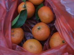 -鹭江潮餐厅•福建菜(鹭江佲家酒店)