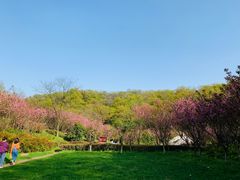 -南京市江宁方山
