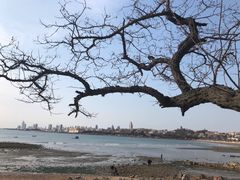 -青岛第二海水浴场