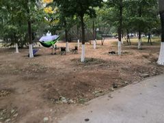-绿堤公园