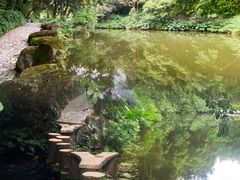 -西樵山风景名胜区-天湖公园