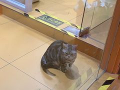 -MARSMART PETS火星宠物超市(1733店)