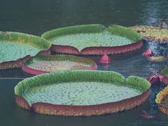 -迎泽公园