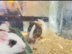 -奎屯友好时尚购物中心